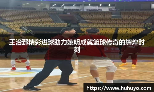 8868体育官网