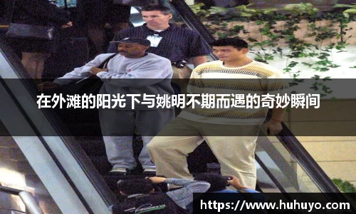 8868体育直播平台