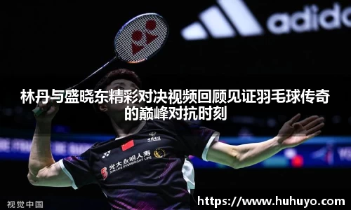 林丹与盛晓东精彩对决视频回顾见证羽毛球传奇的巅峰对抗时刻